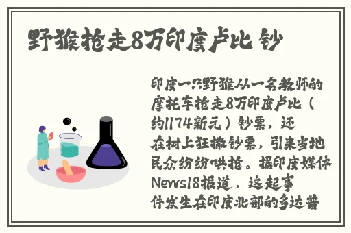 ceke美国BNДeo高